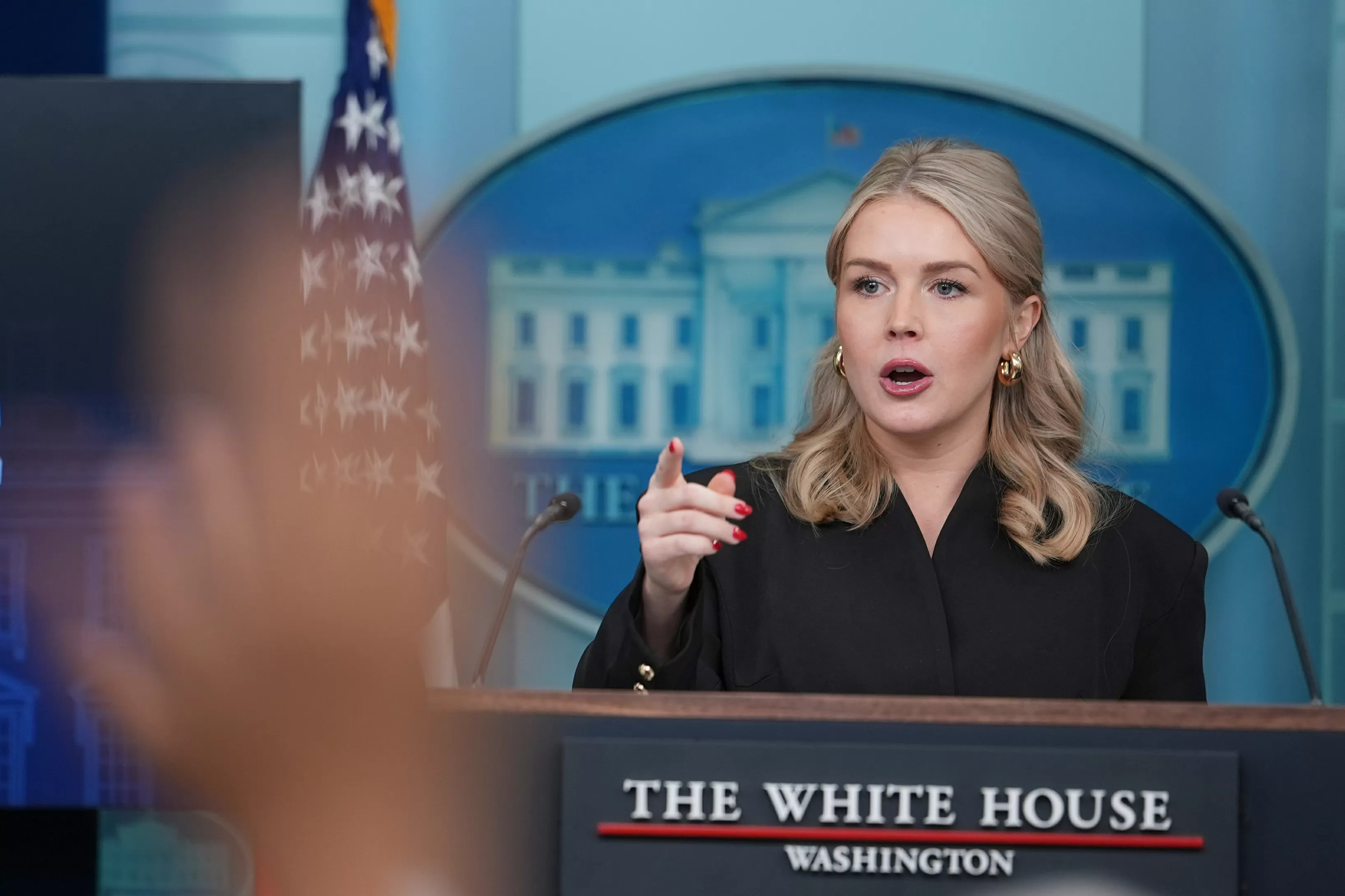 Mother of Karoline Leavitt’s Nephew Hits Out at Press Secretary After Release From ICE Detention
