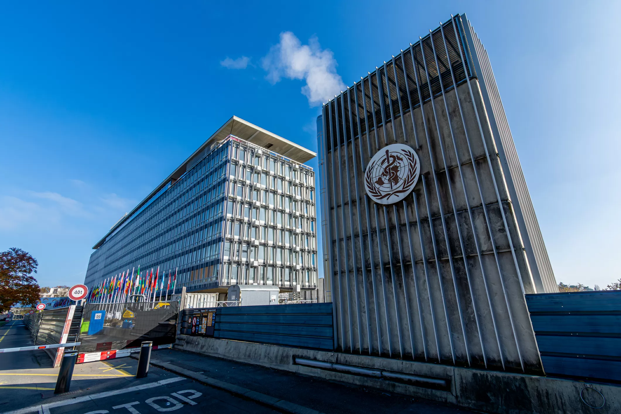 The U.S. Has Pulled Out of the WHO. Here’s What That Means for Public Health