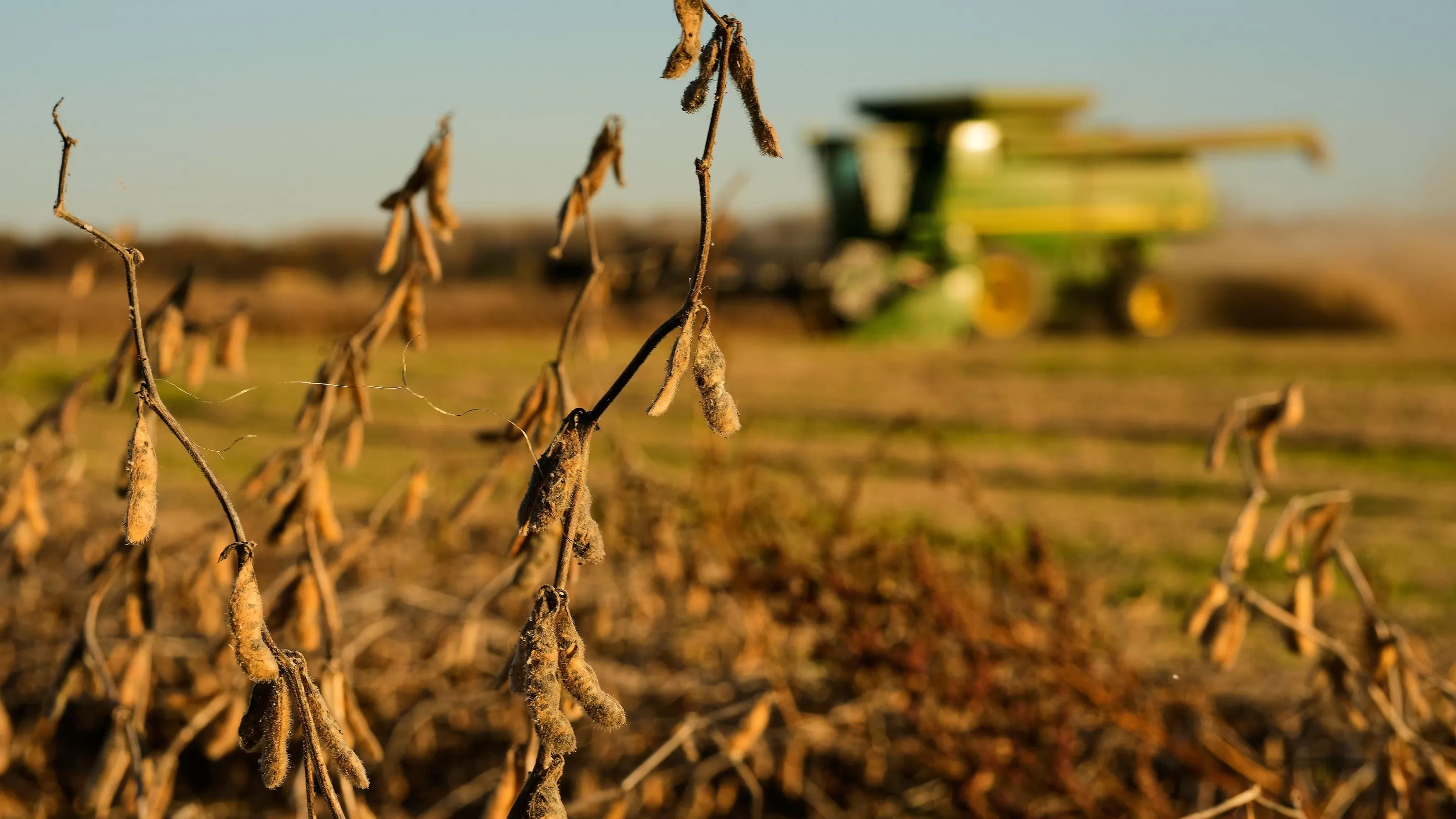 China meets initial soybean purchase goal, but Trump's shifting trade policy could disrupt deal