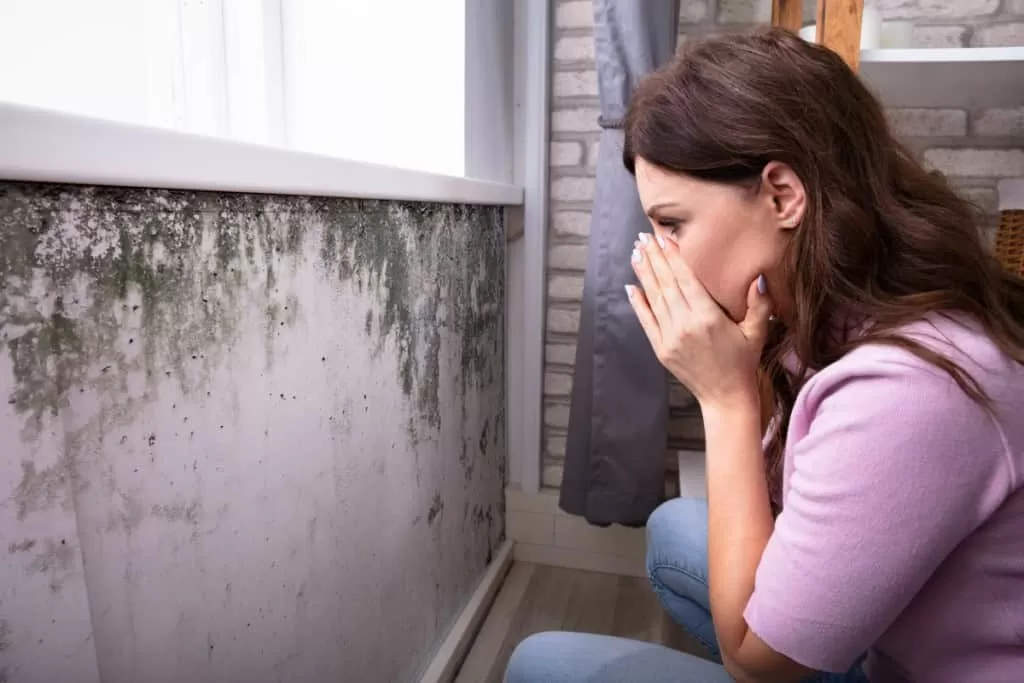 Selling a House with Mold: Your Complete Guide to a Successful Sale