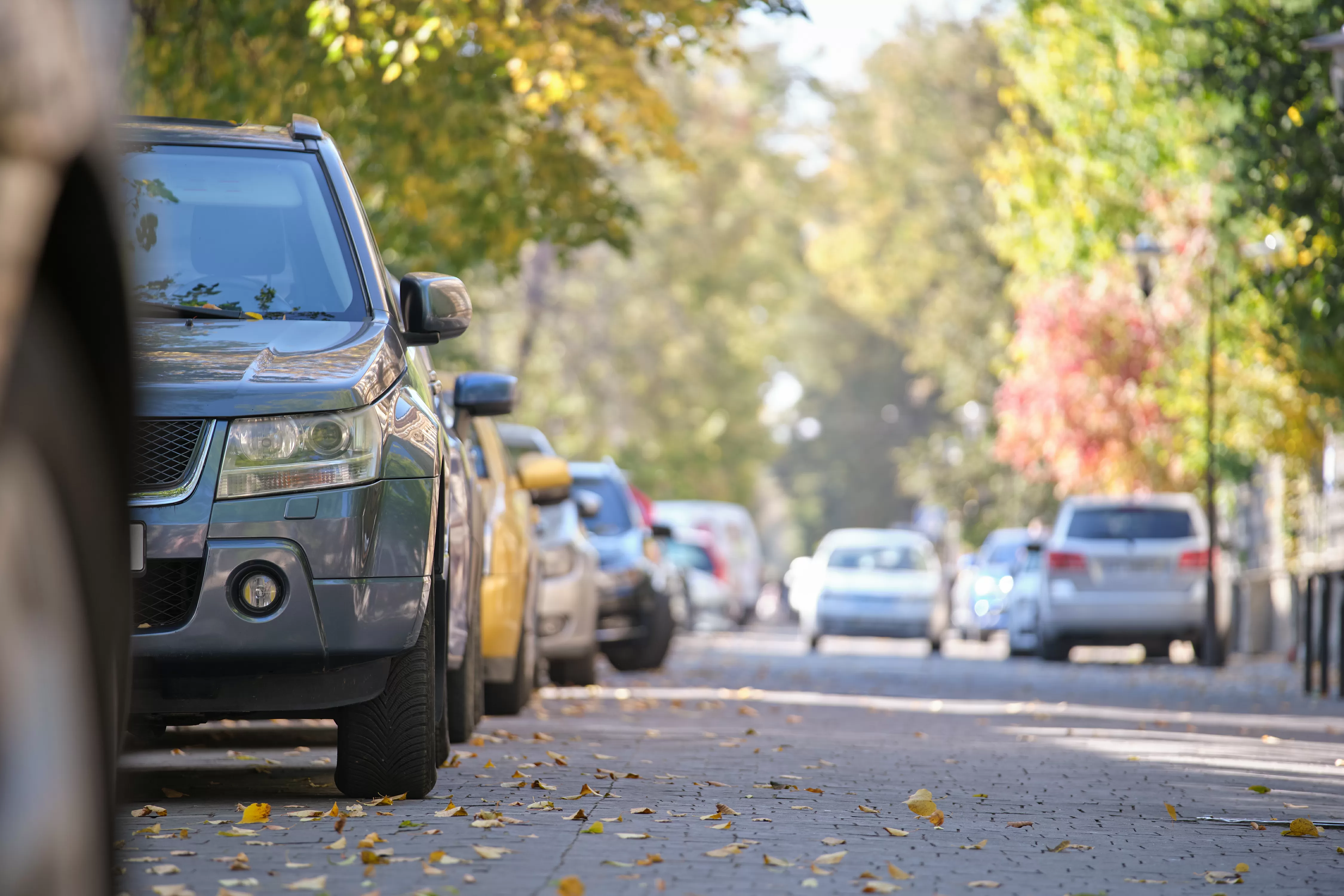 Woman Stunned by What Delivery Driver Does: 'So Wild'