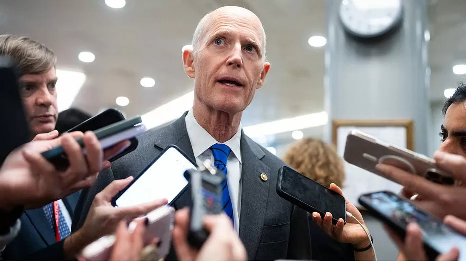Senate Republicans push for House GOP rebellion against funding package, voter