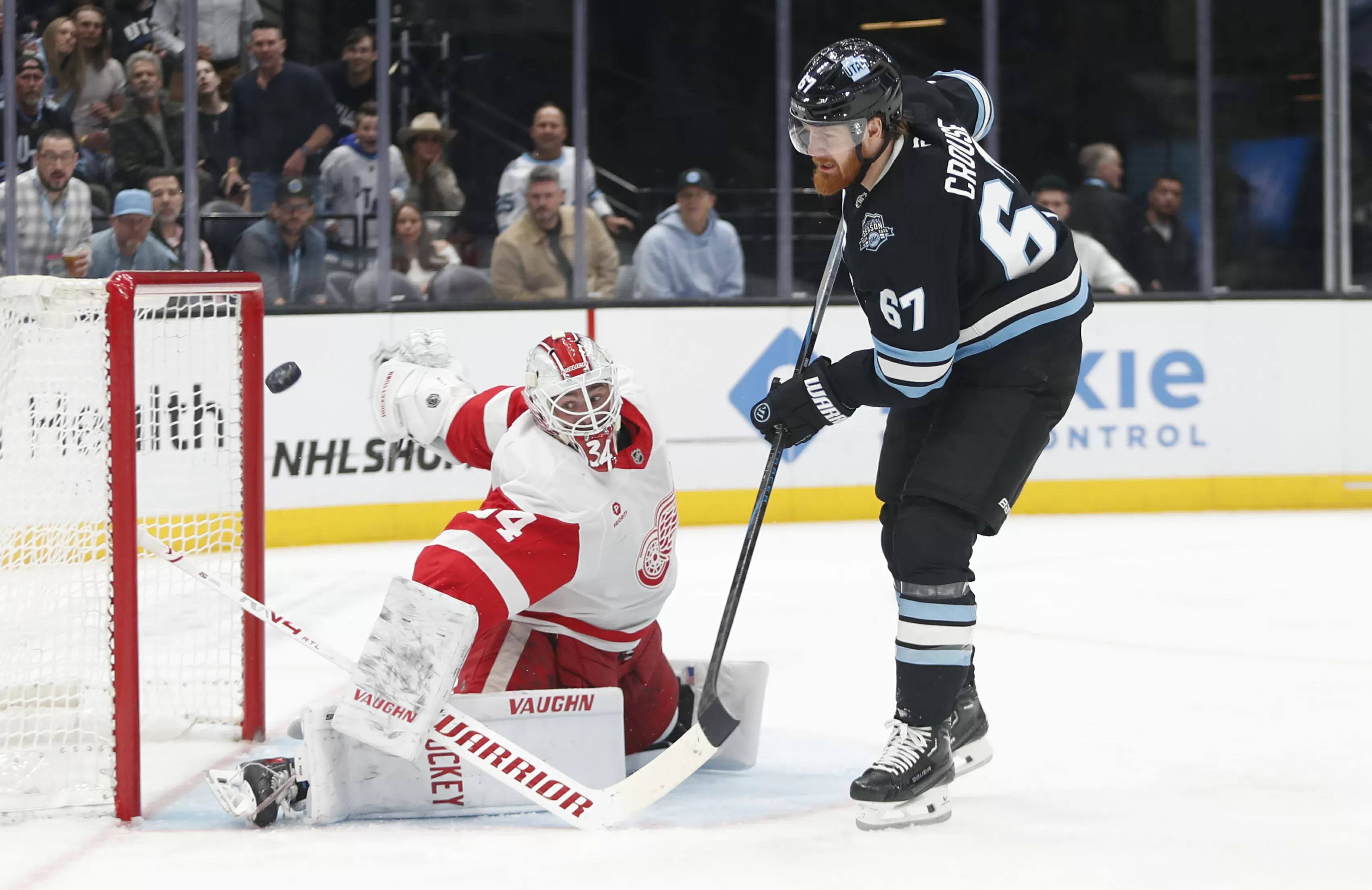 How to Watch Red Wings vs Mammoth: Live Stream NHL, TV Channel