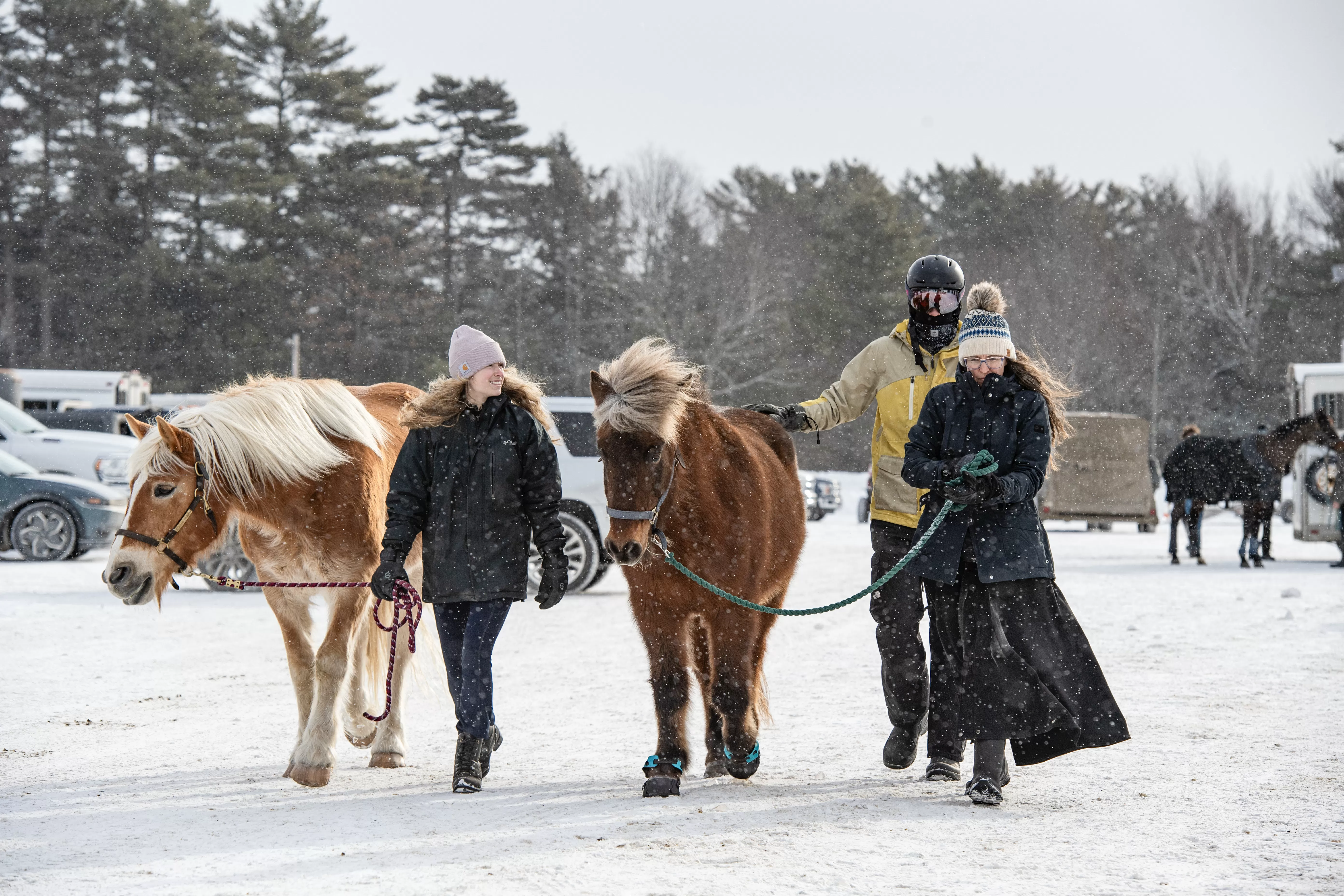 Winter Weather Warning in 5 States, 11 Inches of Snow Forecast: 'Hazardous'