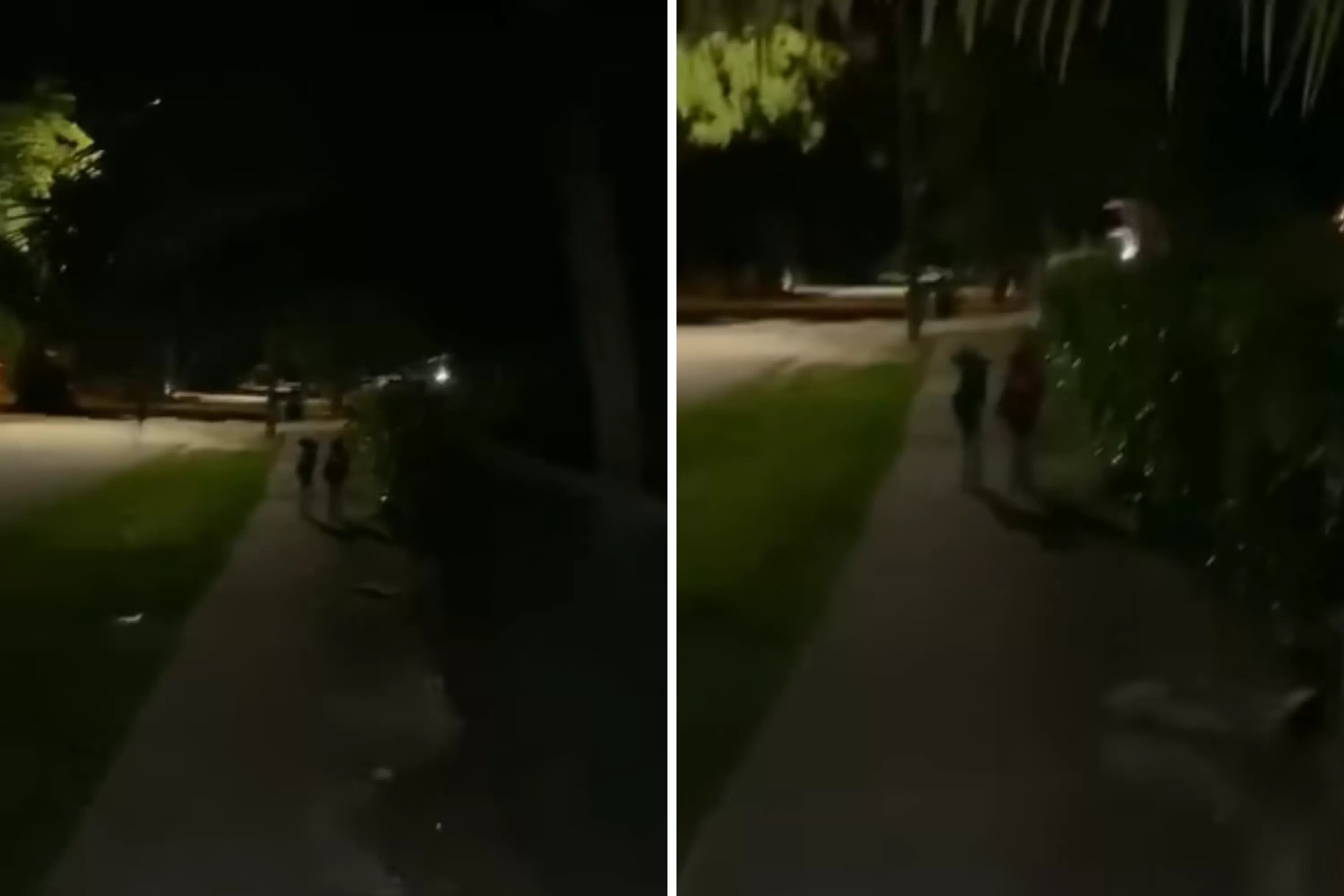 Women Terrified of Creepy ‘Children’ Staring in the Dark—Then Realize Truth