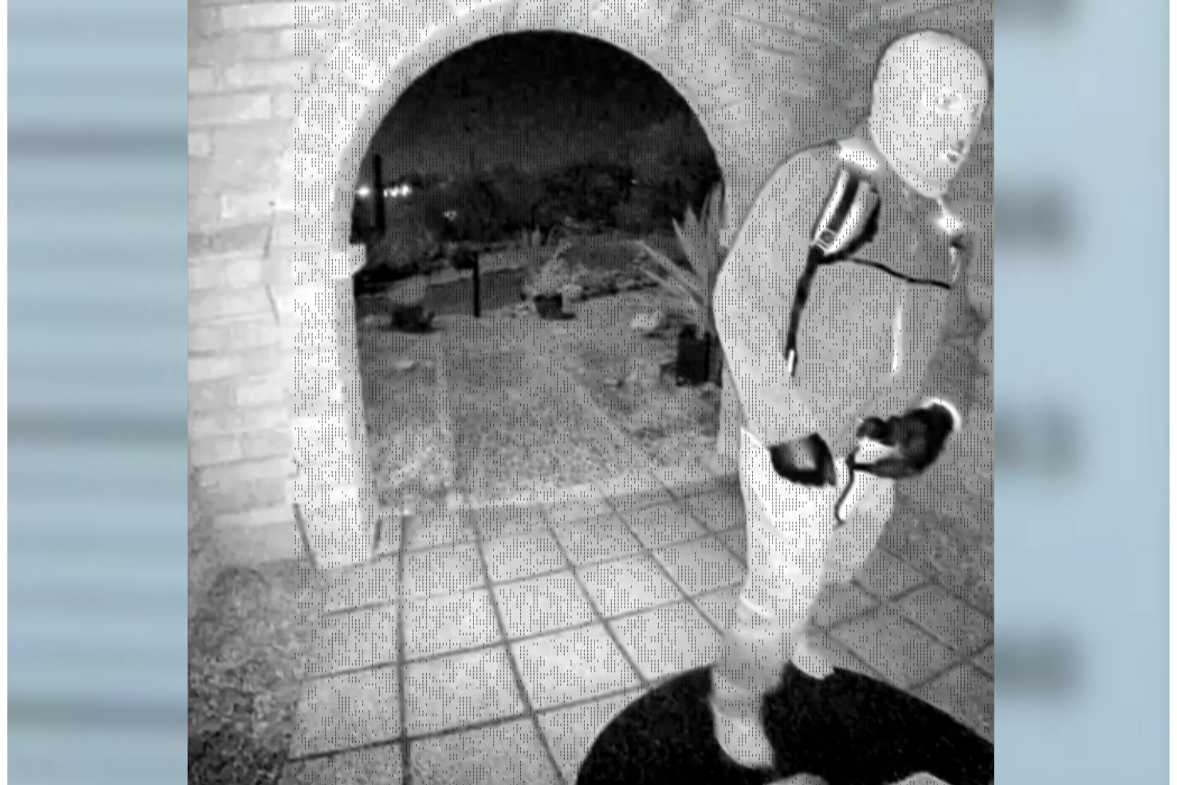 Nancy Guthrie Case: Detective Says Man on Camera 'Experienced' at Shooting 