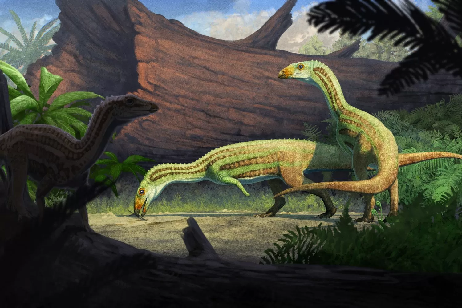 Ancient Croc That Walked on Two Legs Found in Petrified Forest
