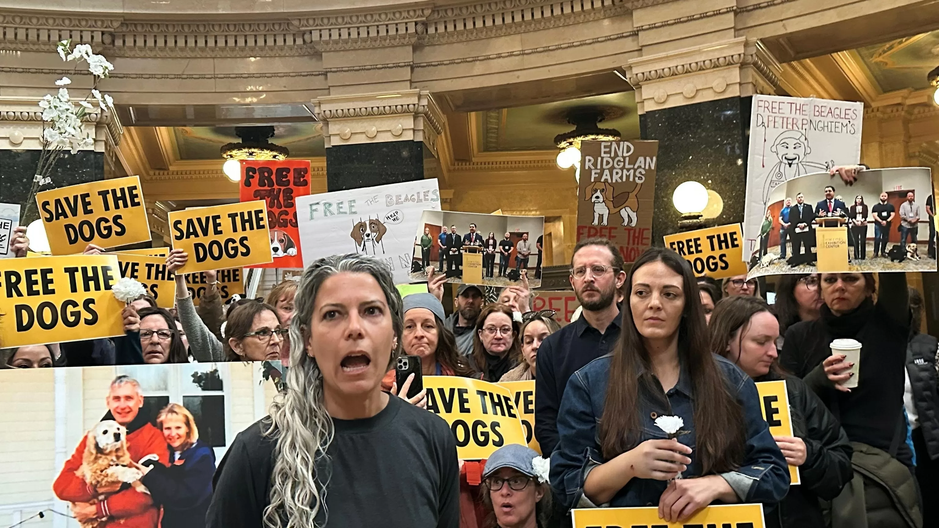 Animal welfare protesters converge on Wisconsin gov's office seeking beagles' release