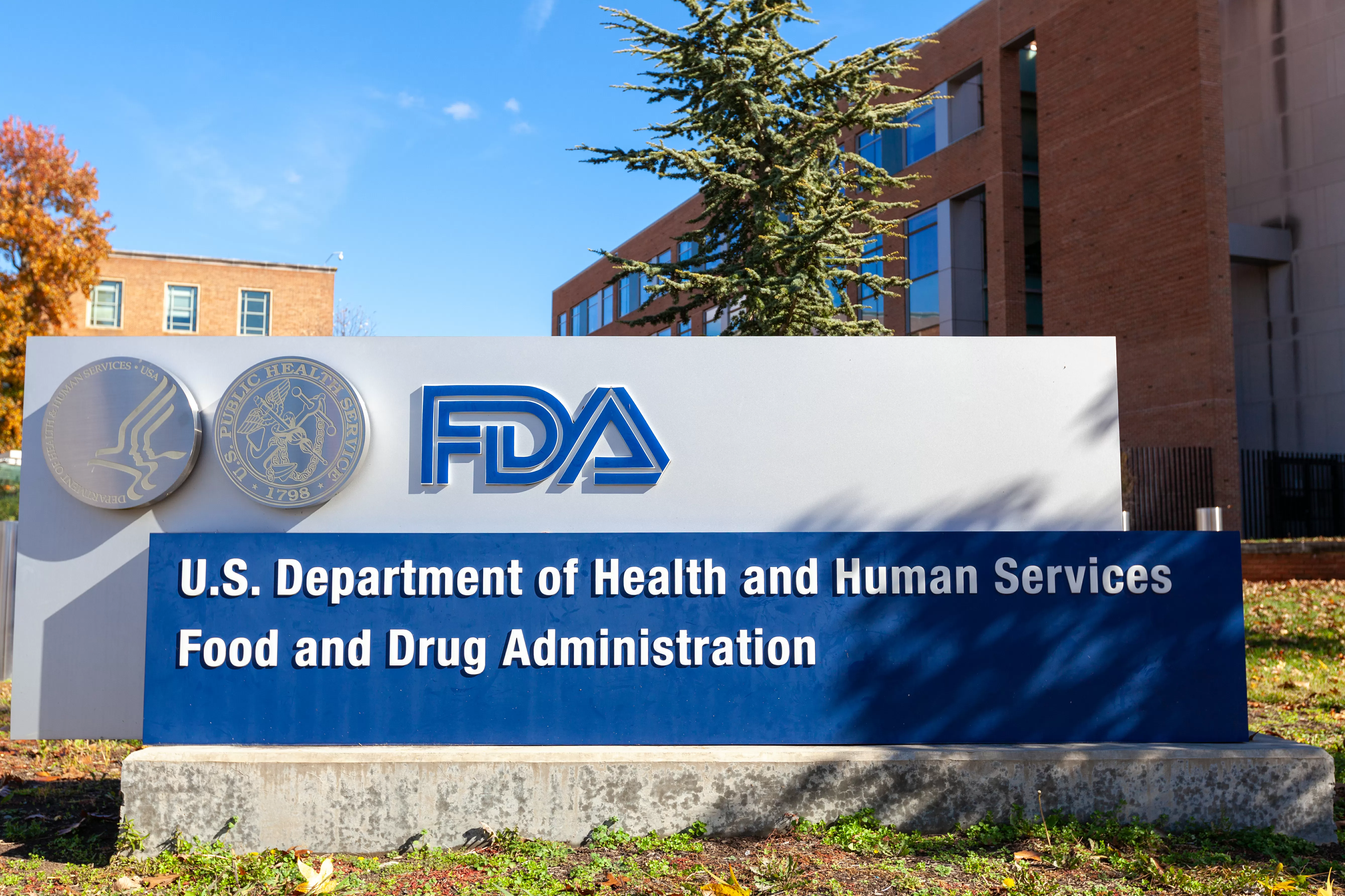 FDA Under Pressure Over Recalls