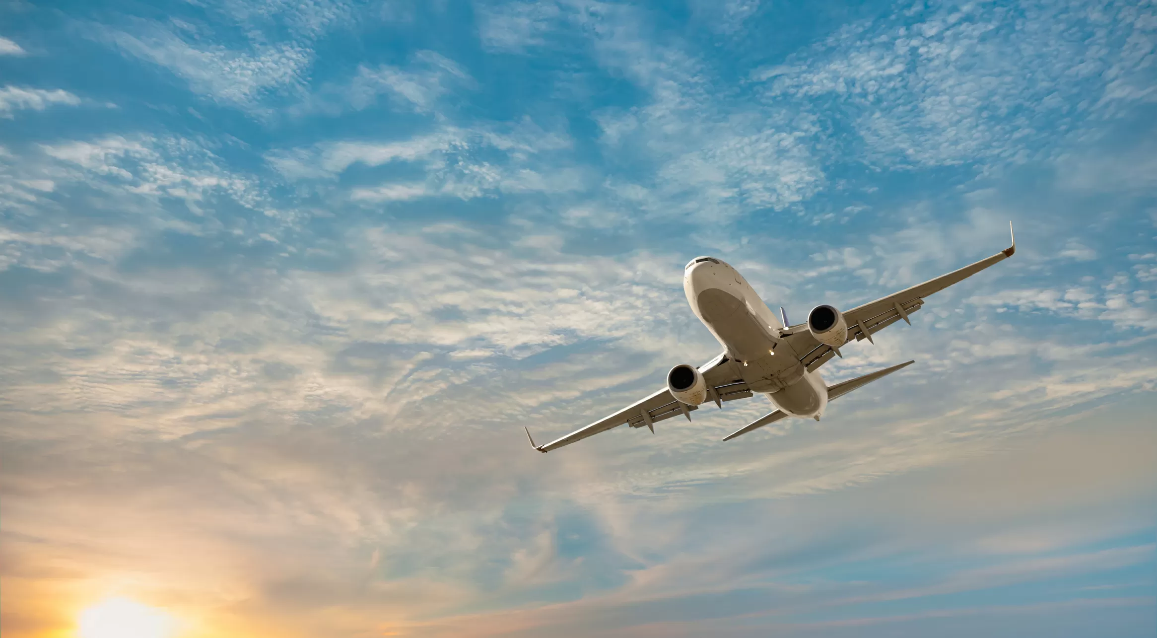 Traveler Can't Wait to Buy Plane Tickets Until They See Something 'Absurd'